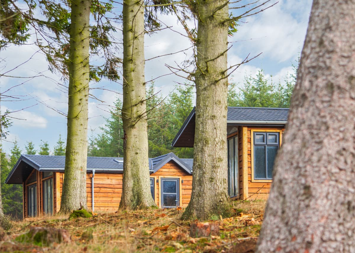 Thirlestane Woodland Lodges - Holiday lodge in Southern Scotland - Image 4