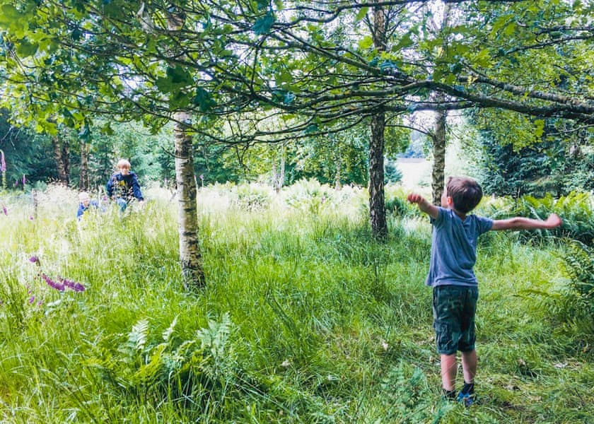 Thirlestane Woodland Lodges, Lauder
