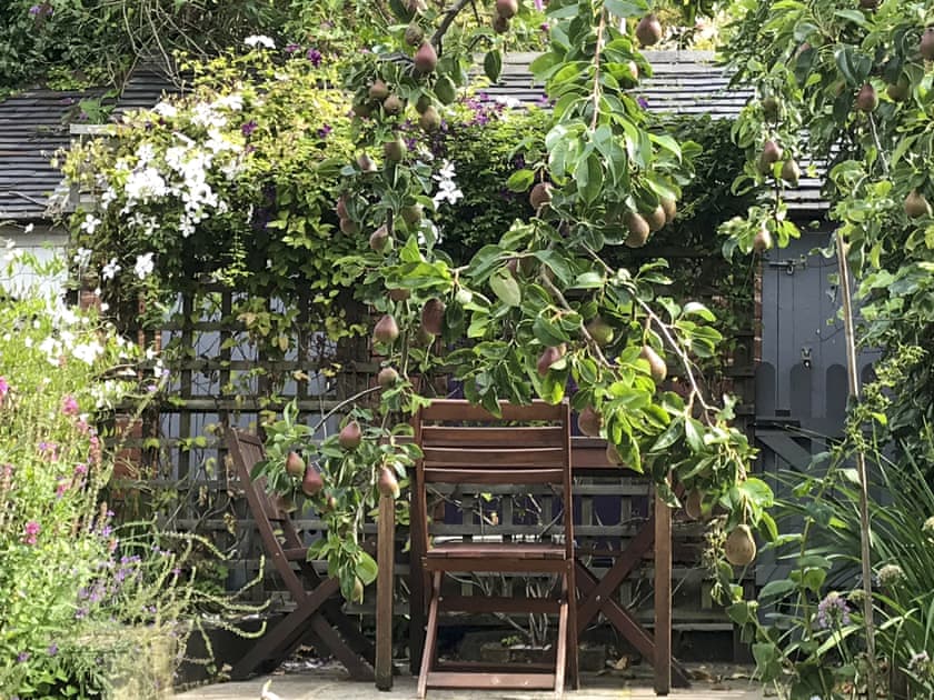 Garden in bloom | Pear Tree Cottage, Wirksworth, near Matlock