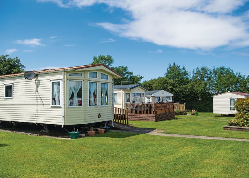 The park setting | The Village Holiday Park, Cross Inn, Nr New Quay