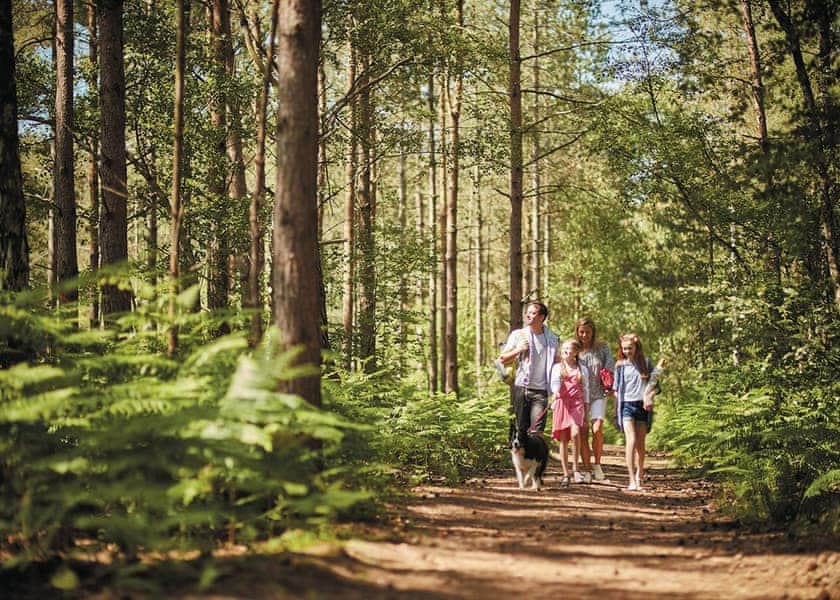 Oakdene Forest, St Leonards, Ringwood