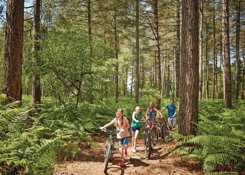 Cycling<br />