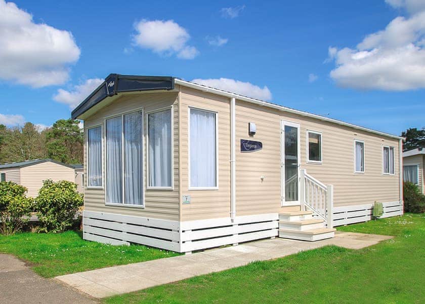 Typical Sensation 3 | Oakdene Forest, St Leonards, Ringwood