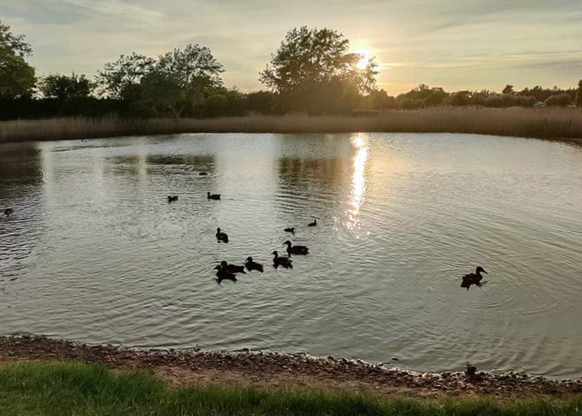 Waldegraves Holiday Park, Colchester