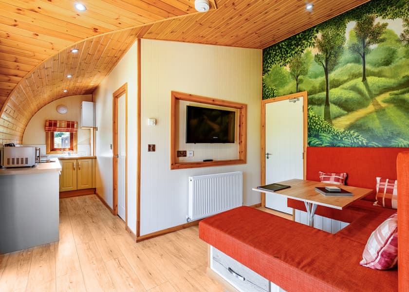 Hedgehog Premier - Wild Acre Village at Sundown Adventureland, Retford