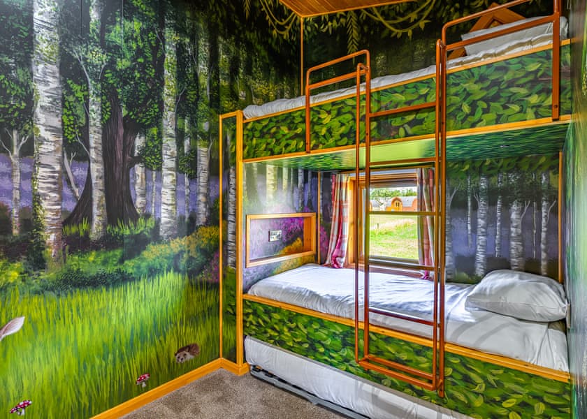 Hedgehog Premier - Wild Acre Village at Sundown Adventureland, Retford