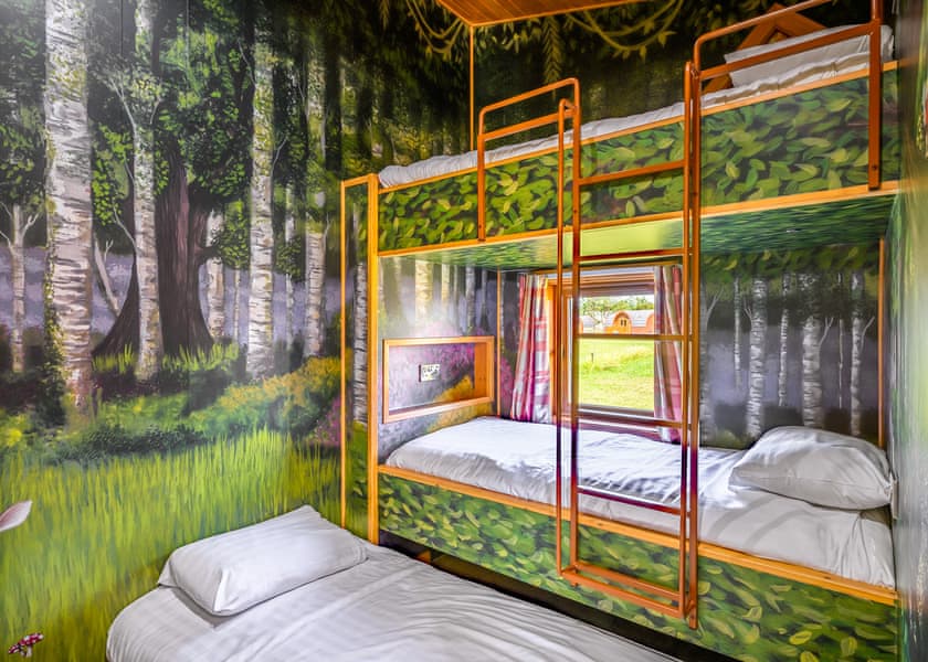 Hedgehog Premier - Wild Acre Village at Sundown Adventureland, Retford