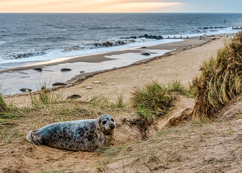 Waxham Sands Holiday Park, Great Yarmouth