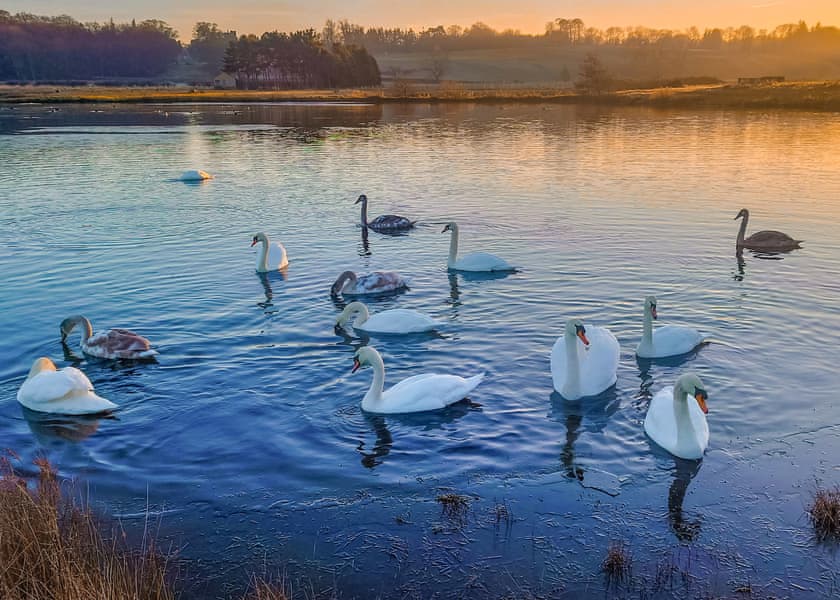 Witton Castle Country Park, Bishop Auckland