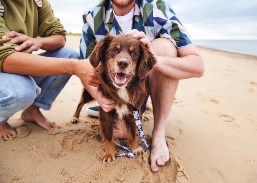 Weymouth Bay Holiday Park, Preston