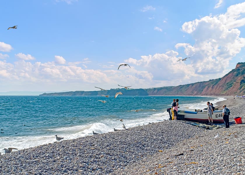 Budleigh Salterton | Webbers Country Park, Woodbury, Exeter