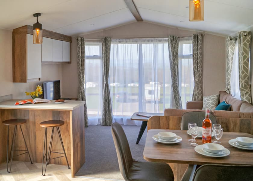 Elm - Webbers Country Park, Woodbury, Exeter