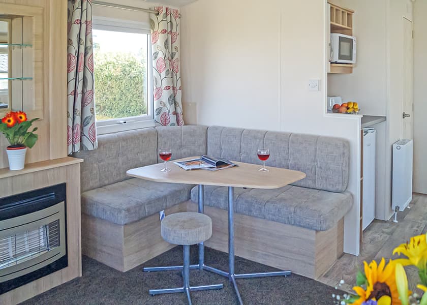 Webbers Willow - Webbers Country Park, Woodbury, Exeter