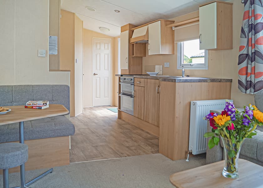 Webbers Willow - Webbers Country Park, Woodbury, Exeter