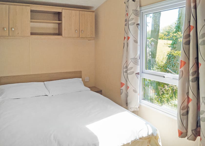 Webbers Willow - Webbers Country Park, Woodbury, Exeter