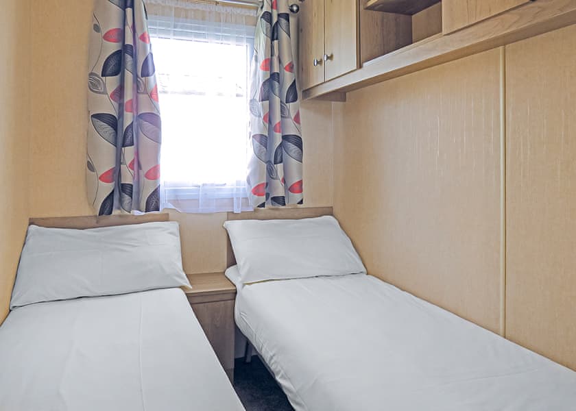 Webbers Willow - Webbers Country Park, Woodbury, Exeter