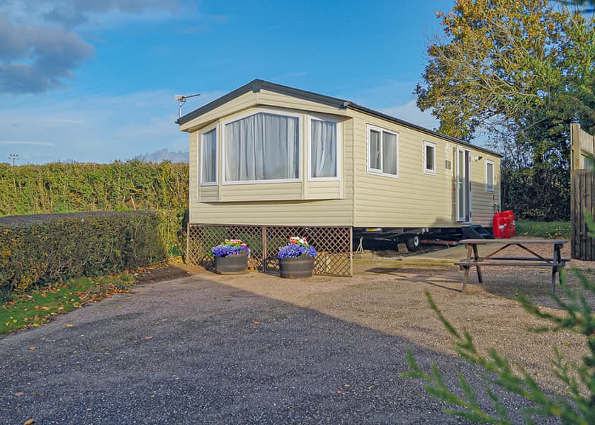 Typical Webbers Birch | Webbers Country Park, Woodbury, Exeter