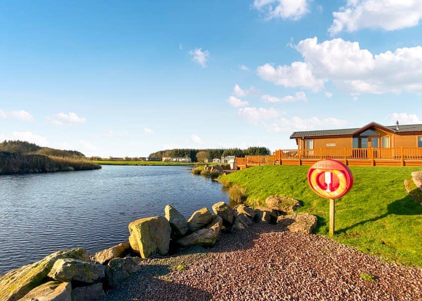 Mulberry - Westlands Country Park, Annan