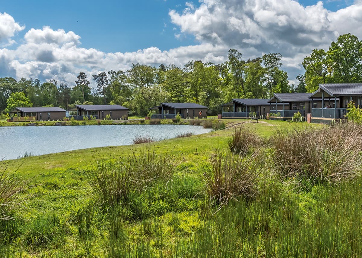 Woodhall Country Park Lodges - Holiday lodge in Central England - Image 5