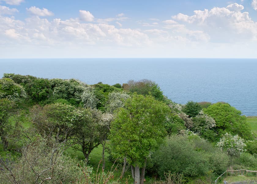 Wide Horizons Holiday Park, Ceredigion