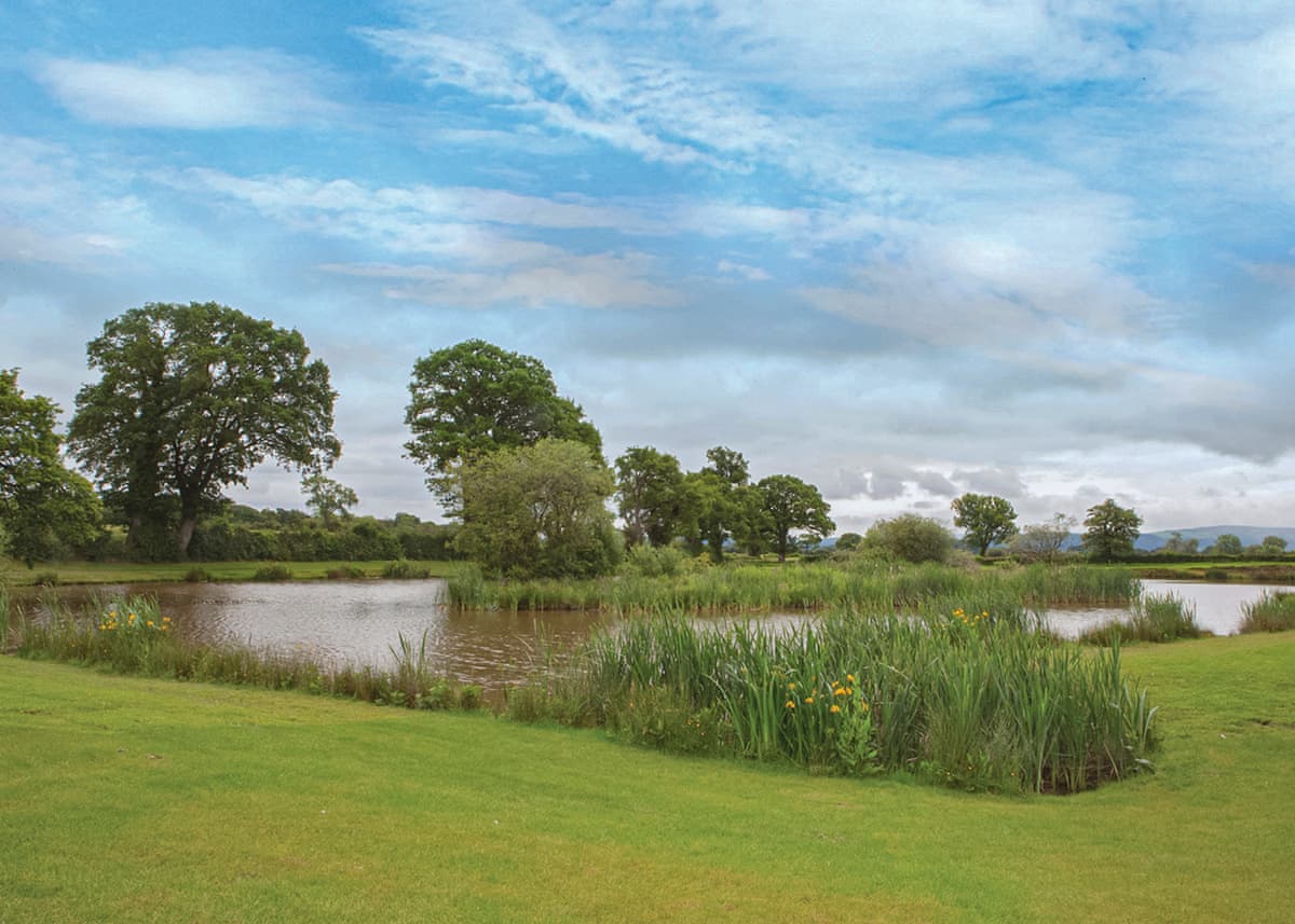Wigmore Lakes Lodges - Holiday Lodge in Central England - Image 5