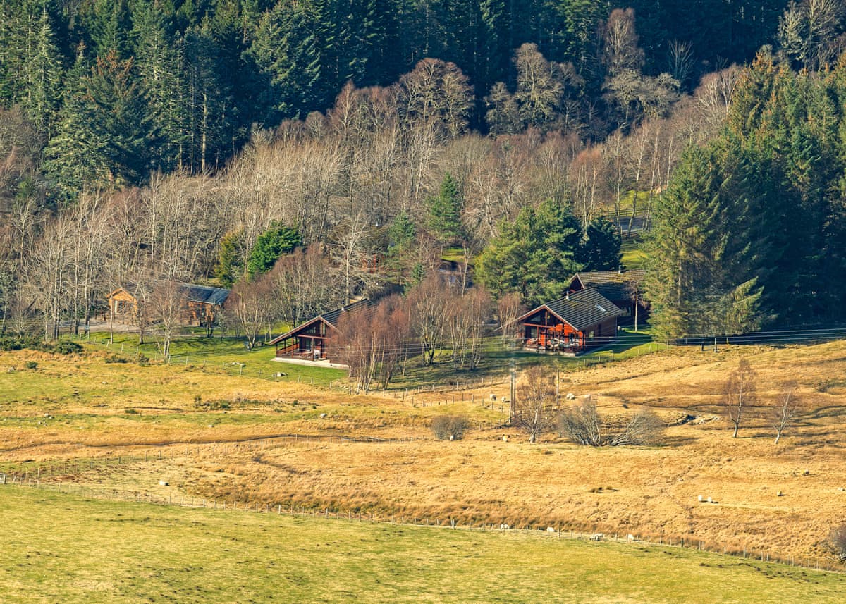 Wildside Highland Lodges at Loch Ness - Image 2