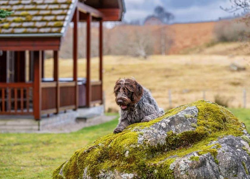 Wildside Highland Lodges at Loch Ness, Whitebridge, Nr Loch Ness