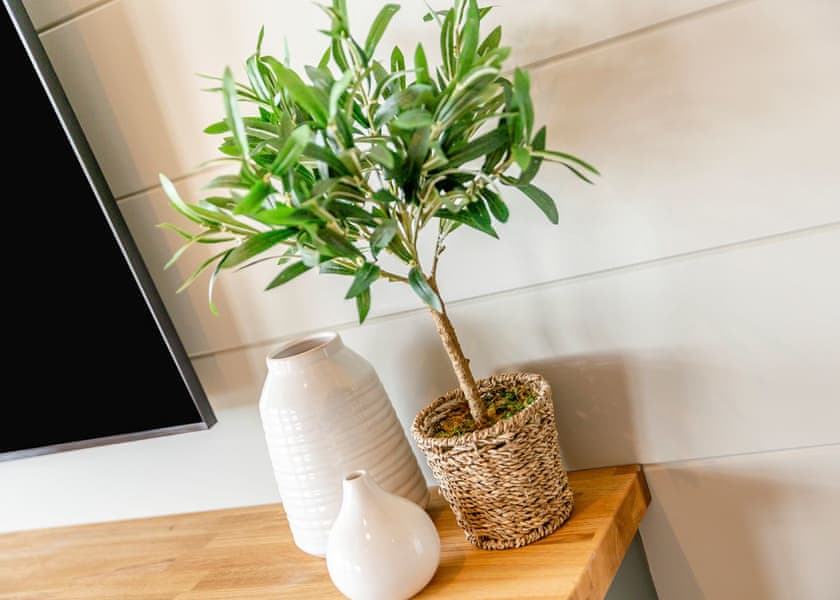 Elm View Lodge - Windmill Retreat & Spa, Glastonbury