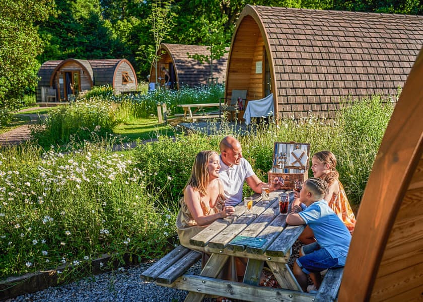 Megapod Premier Pet Friendly - Whitemead Forest Park, Forest of Dean