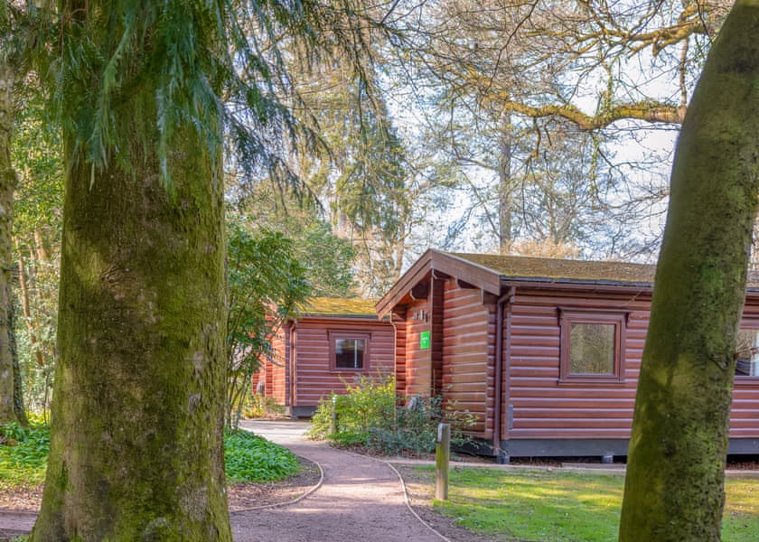 Log Cabin with Hot TubPet Friendly - Whitemead Forest Park, Forest of Dean