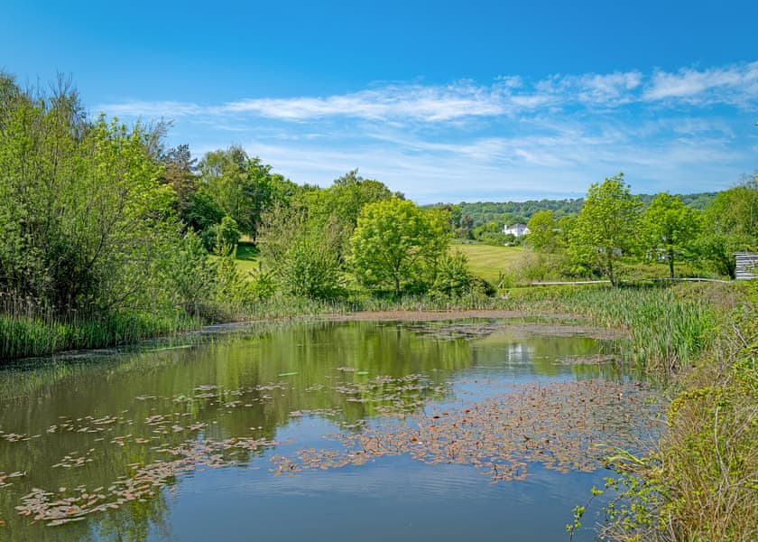 Wood Farm, Charmouth