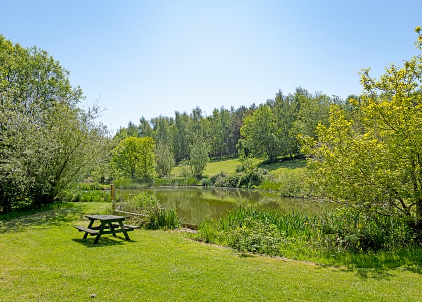 Wood Farm, Charmouth