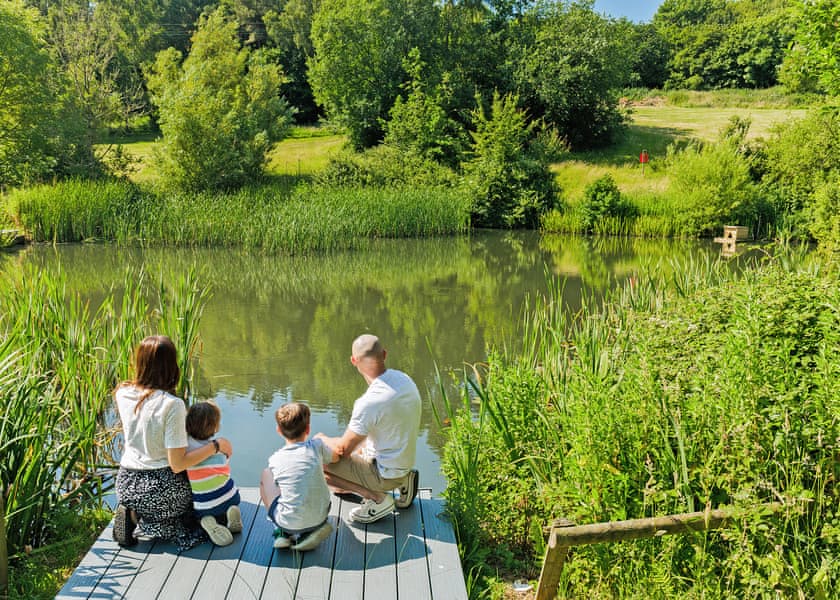 Wood Farm, Charmouth