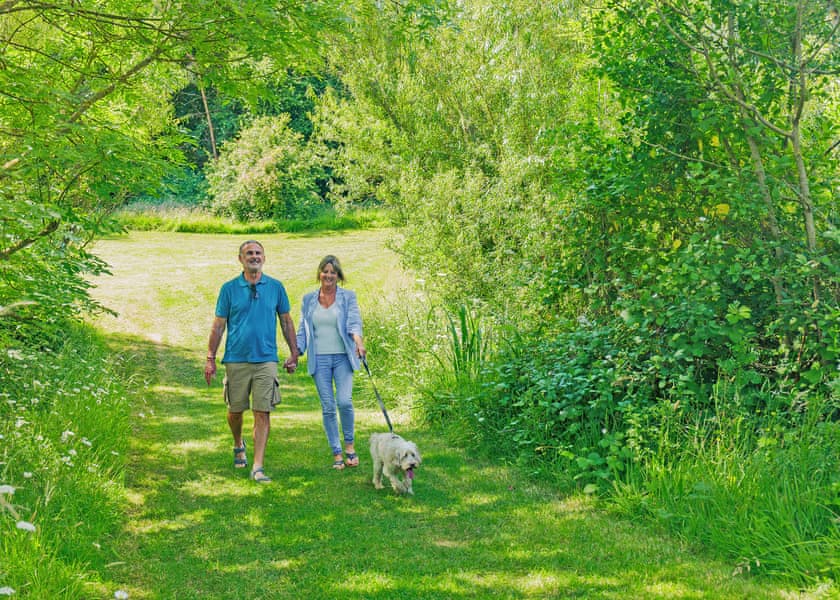 Wood Farm, Charmouth