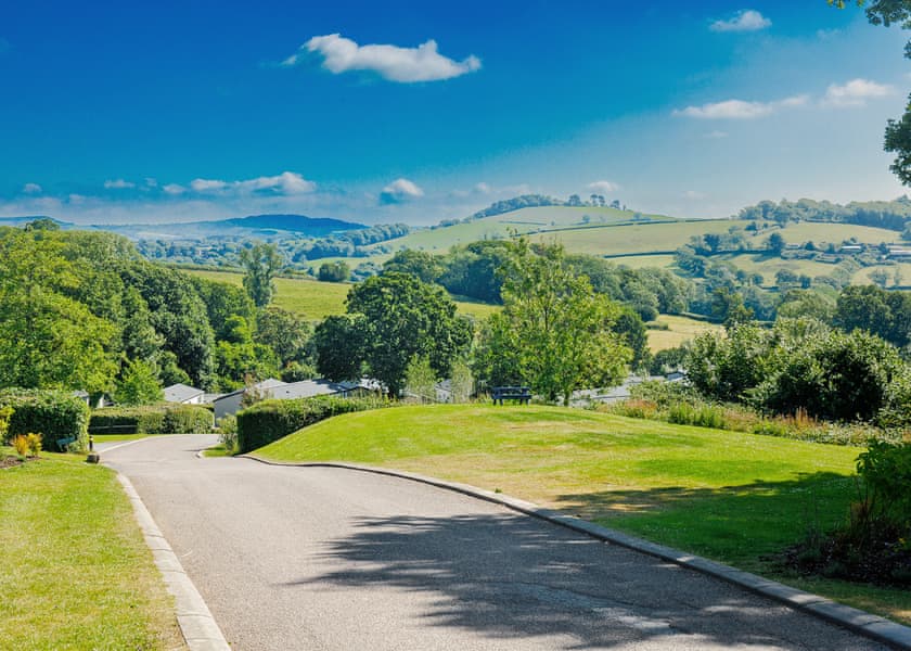 Wood Farm, Charmouth