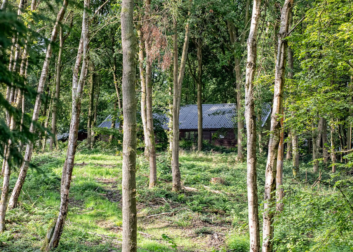 Woodland Park Lodges - Holiday Lodge in Central England - Image 4