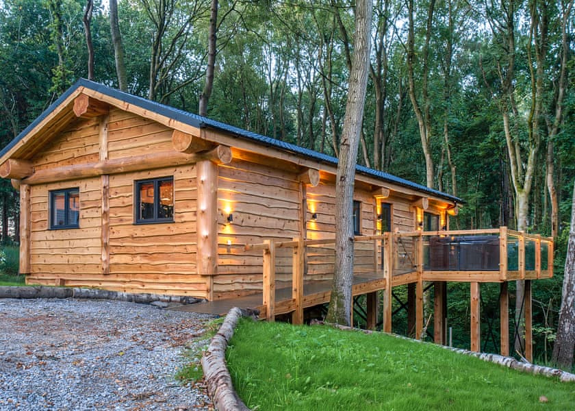 Bluebell Treehouse - Woodland Park Lodges, Ellesmere