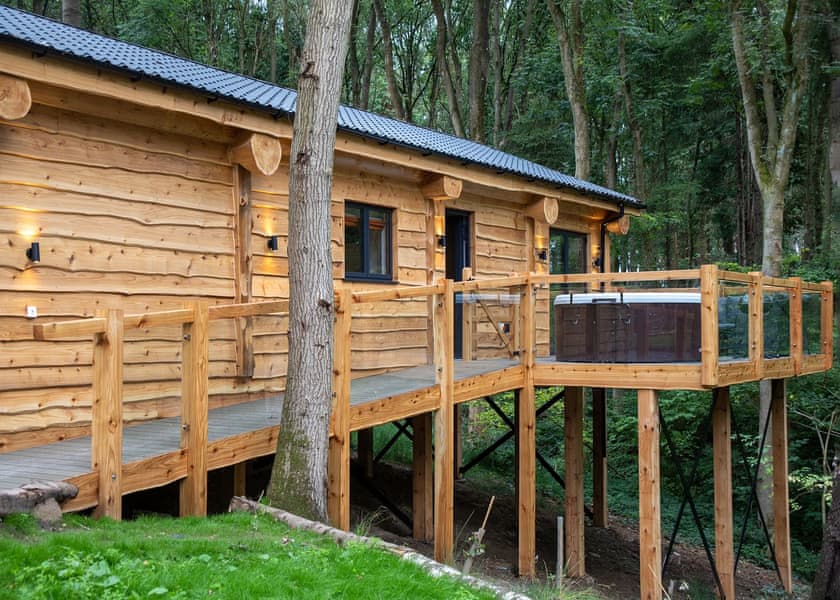 Bluebell Treehouse - Woodland Park Lodges, Ellesmere