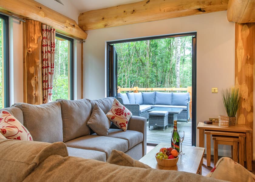 Bluebell Treehouse - Woodland Park Lodges, Ellesmere