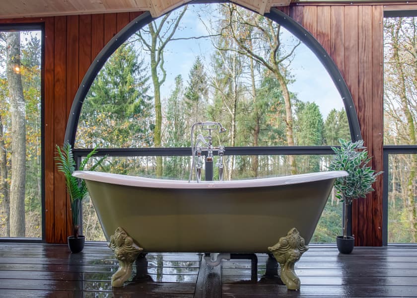 Foxglove Treehouse - Woodland Park Lodges, Ellesmere