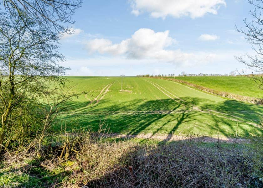 Woodmans Cabin - Wold View Farm, Cottam