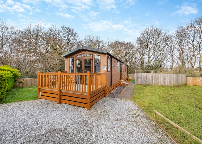 Woodland Retreat - Woodbury Woods, Woodbury, Nr Exeter