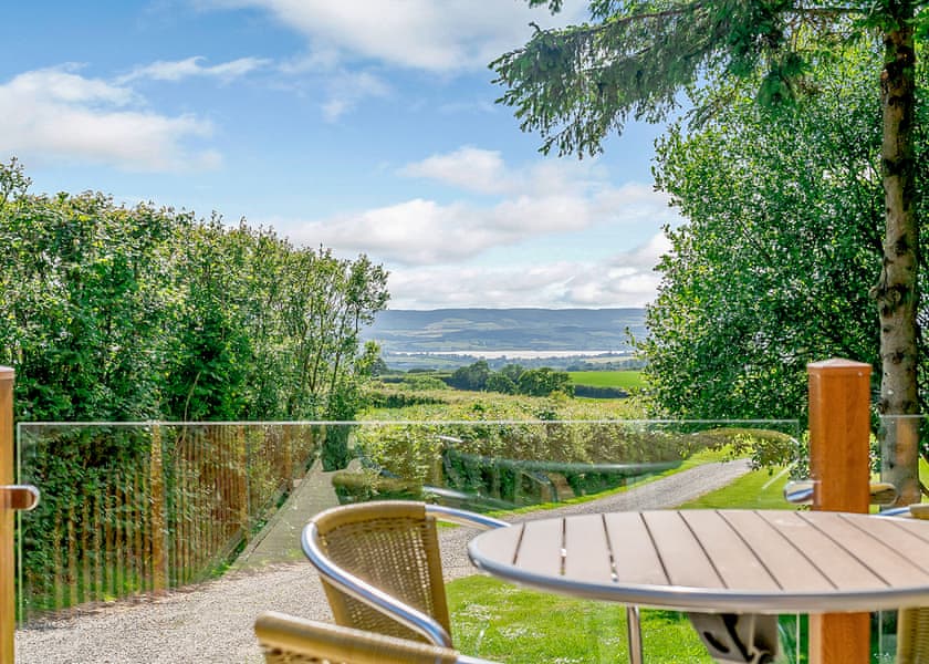 Castle Point - Woodbury Woods, Woodbury, Nr Exeter