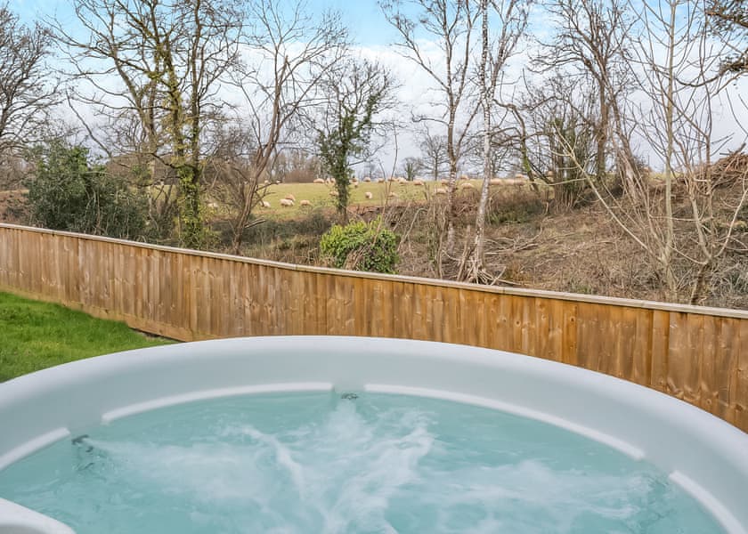 Woodbury Woods Premier Plus - Woodbury Woods, Woodbury, Nr Exeter