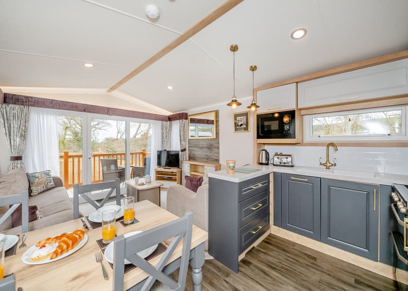 Woodbury Woods Premier Plus - Woodbury Woods, Woodbury, Nr Exeter