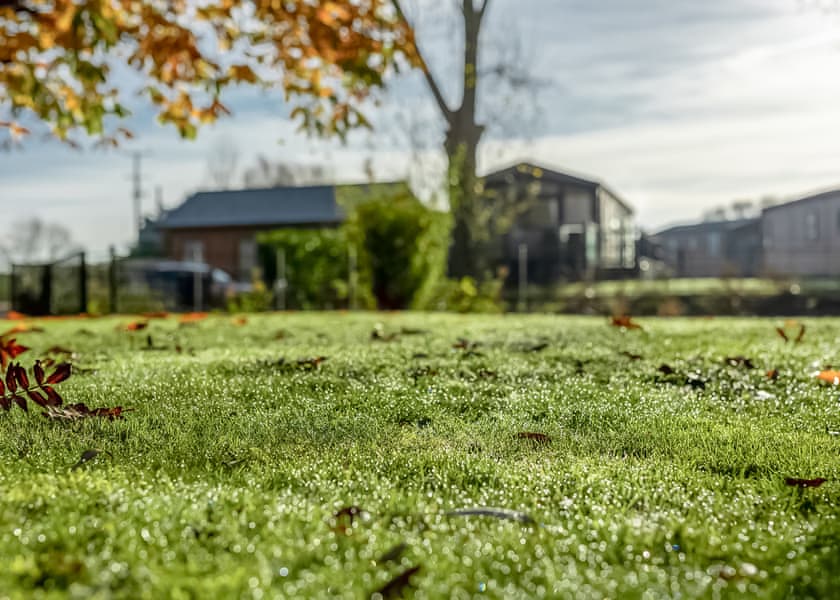 Willow Pastures Country Park, Skirlaugh, Nr Hull