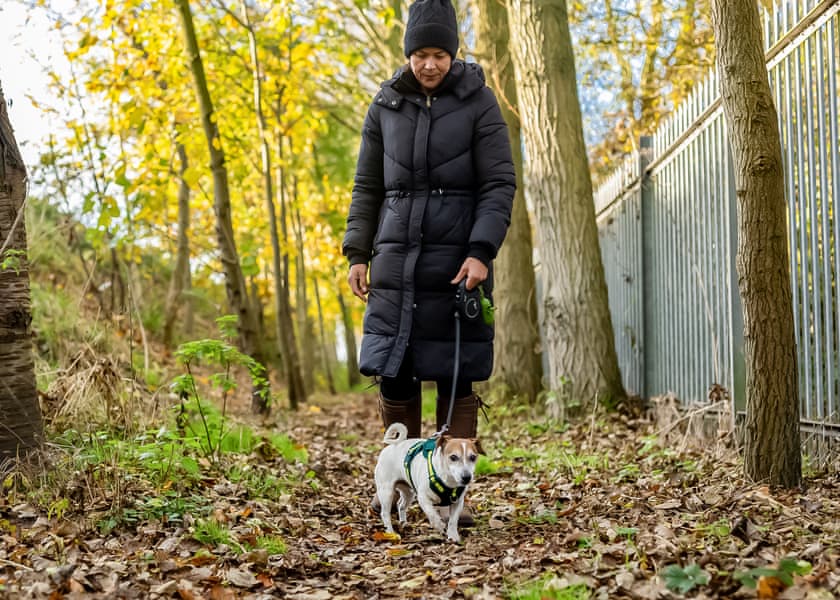 Willow Pastures Country Park, Skirlaugh, Nr Hull