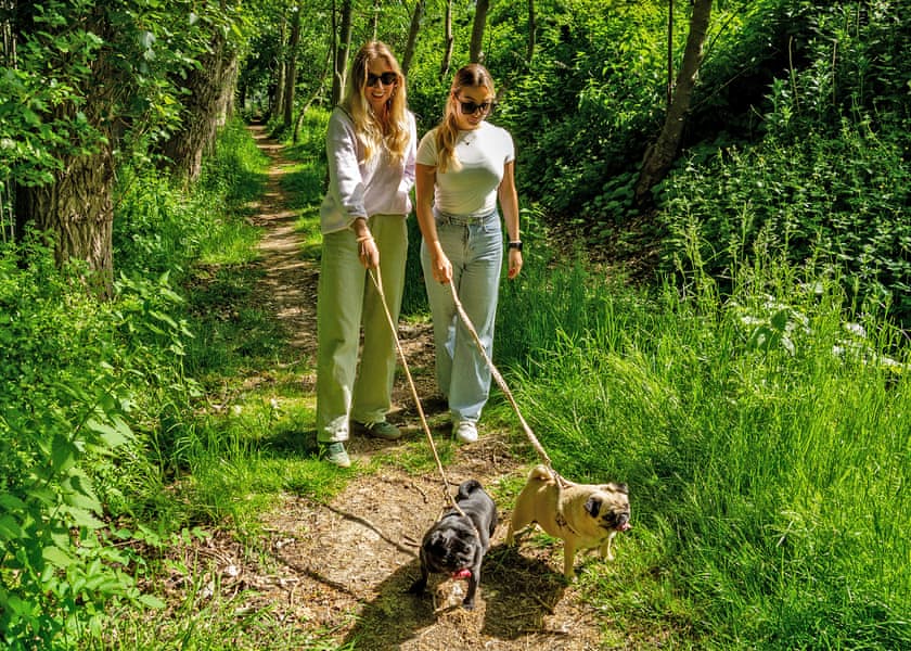 Willow Pastures Country Park, Skirlaugh, Nr Hull