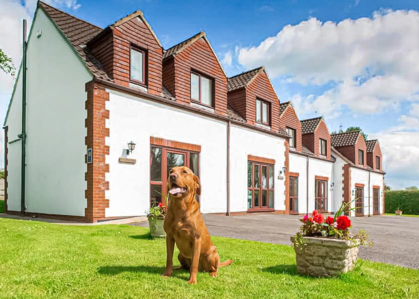 White Rose Holiday Park, Thirsk