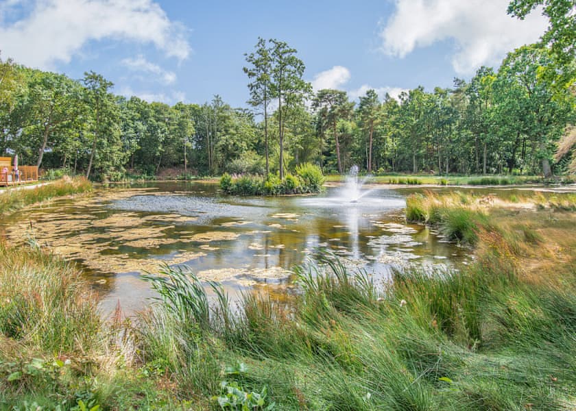 Rowan Boutique Lodge - Woodland Lakes Boutique Lodges, Aughton